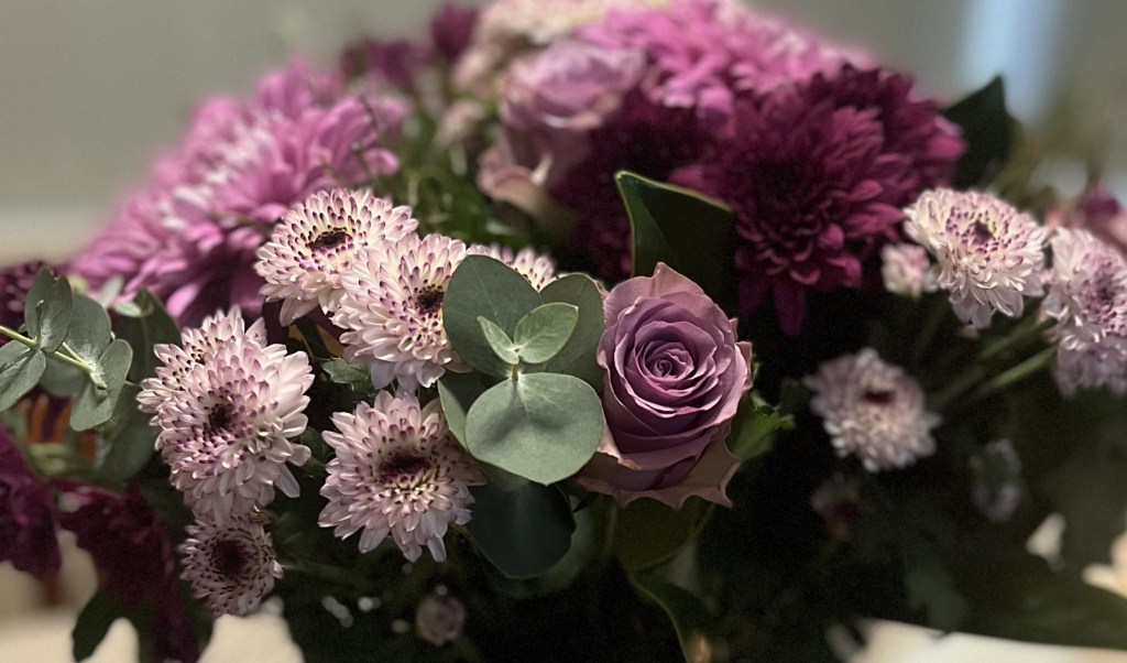 Chasing Lobsters- Blog 11. Why do a&nbsp;blog?